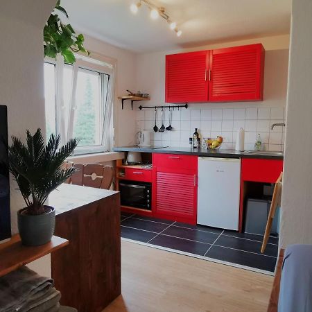 Kleines Studio Am Uni-Campus - Perfekt Fuer Junge Unternehmungslustige Dresda Esterno foto