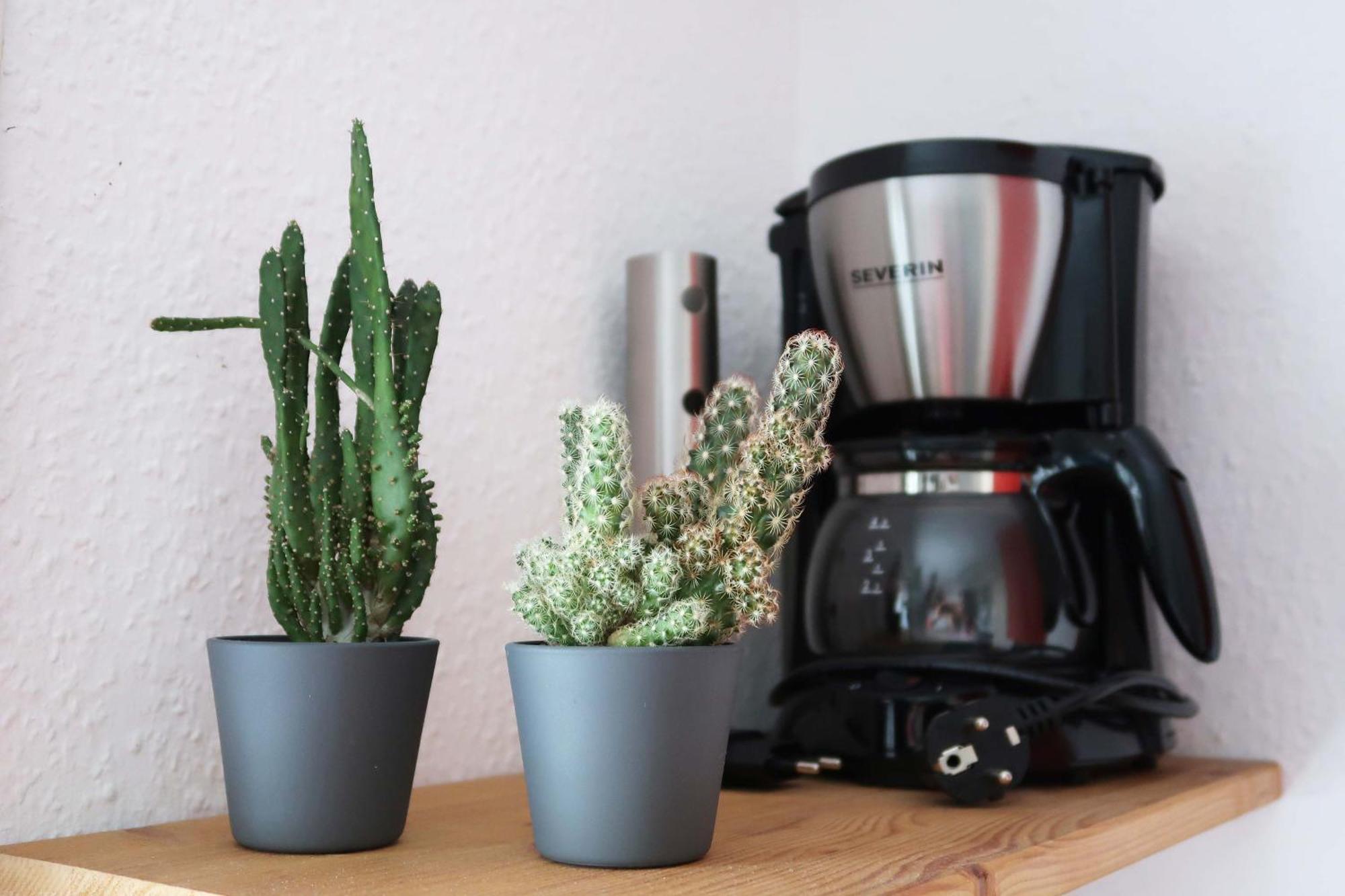 Kleines Studio Am Uni-Campus - Perfekt Fuer Junge Unternehmungslustige Dresda Esterno foto